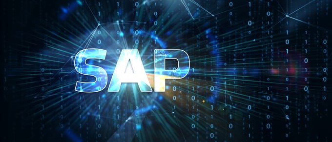 Was bei einem Umstieg auf SAP® S/4HANA außenhandelstechnisch zu beachten ist